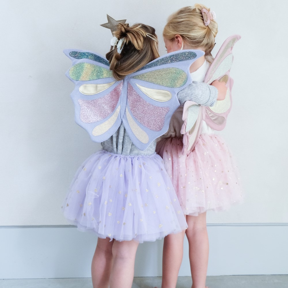 Emmelina Fairy Wings | Little Prince