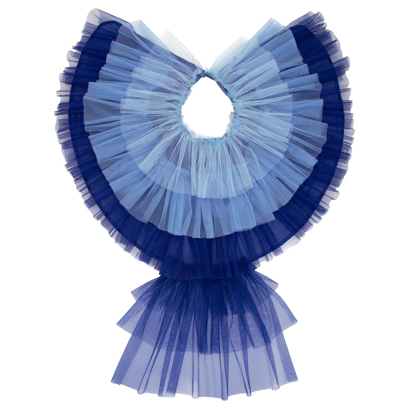 Blue Bird Costume