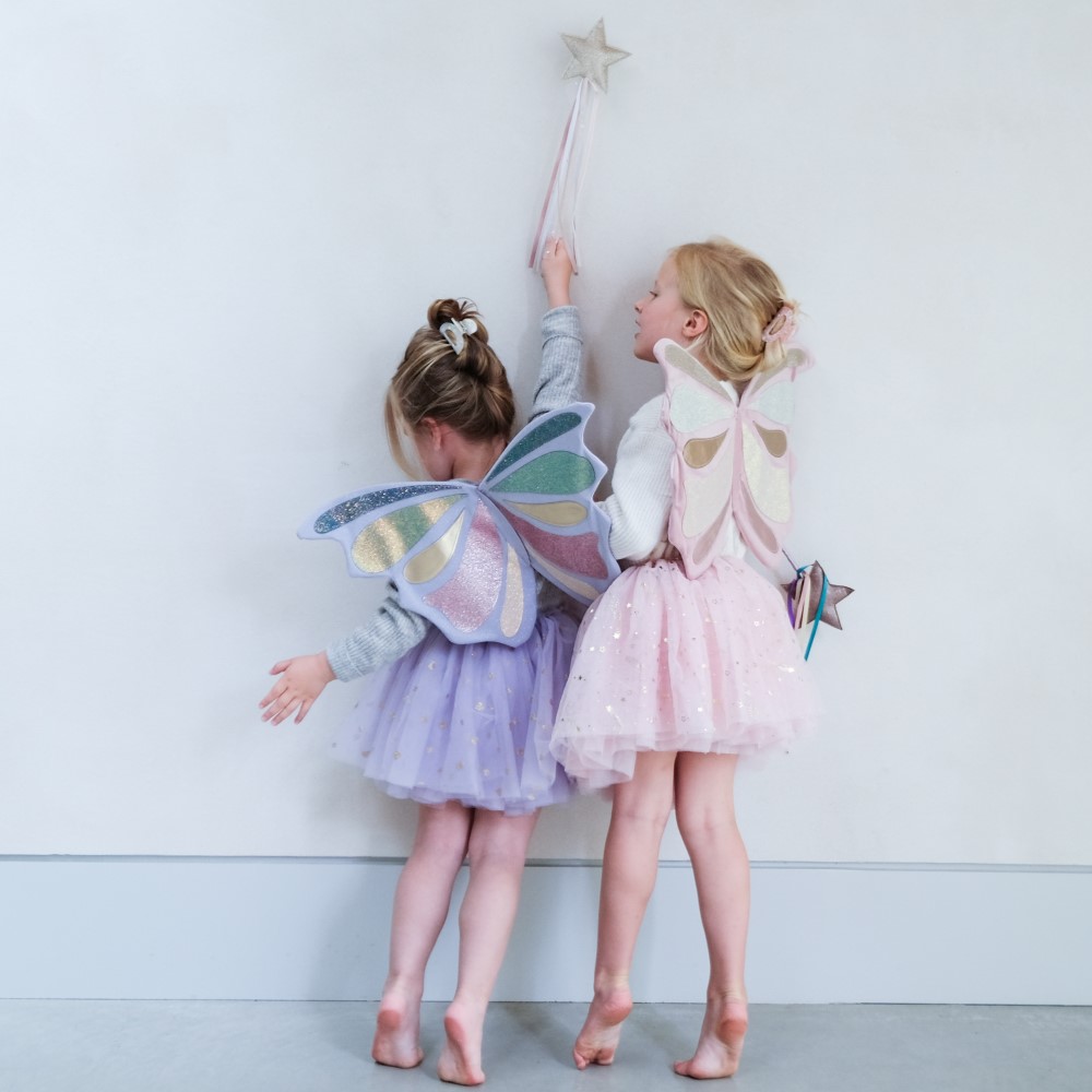 Emmelina Fairy Wings | Little Prince