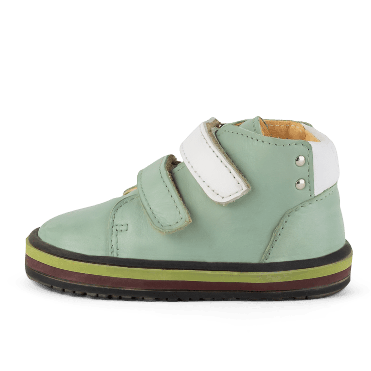 Sneakers | Anis