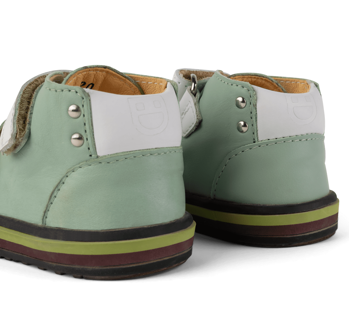 Sneakers | Anis