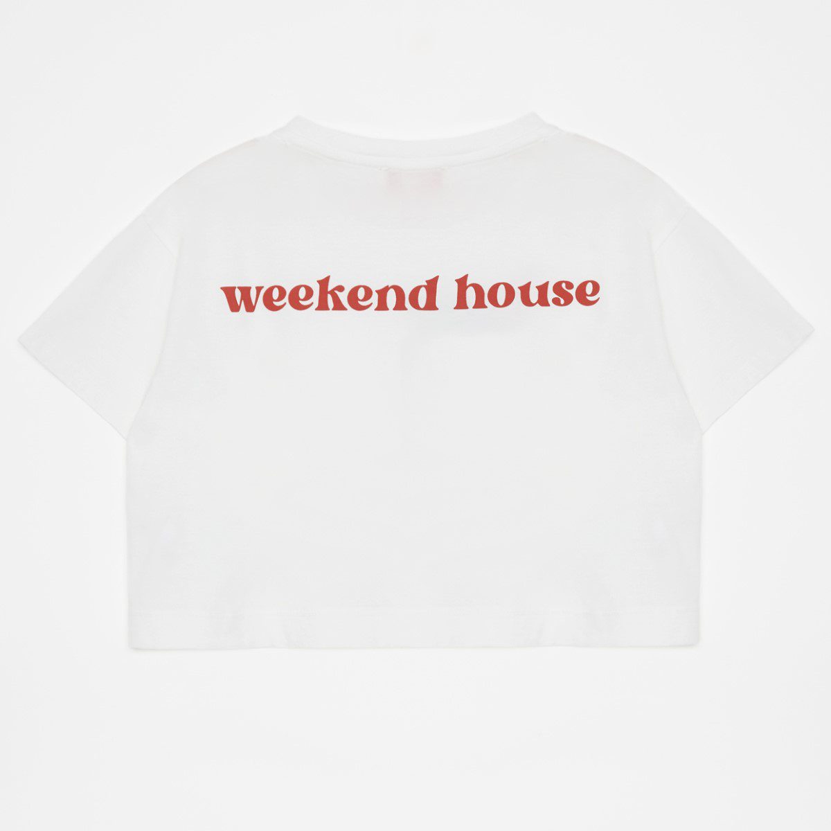 Telegram Crop Top