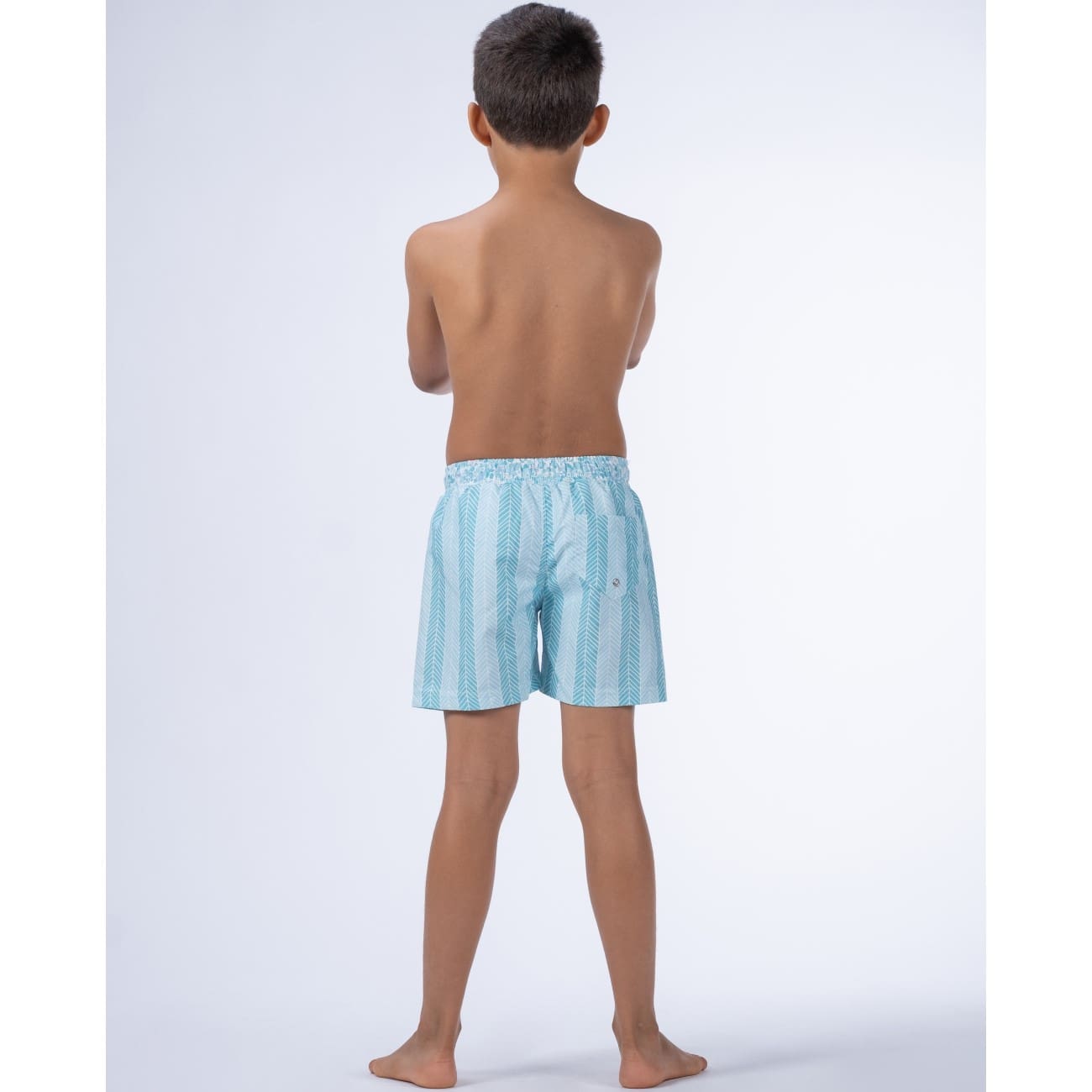 Aqua Classic Swim Shorts