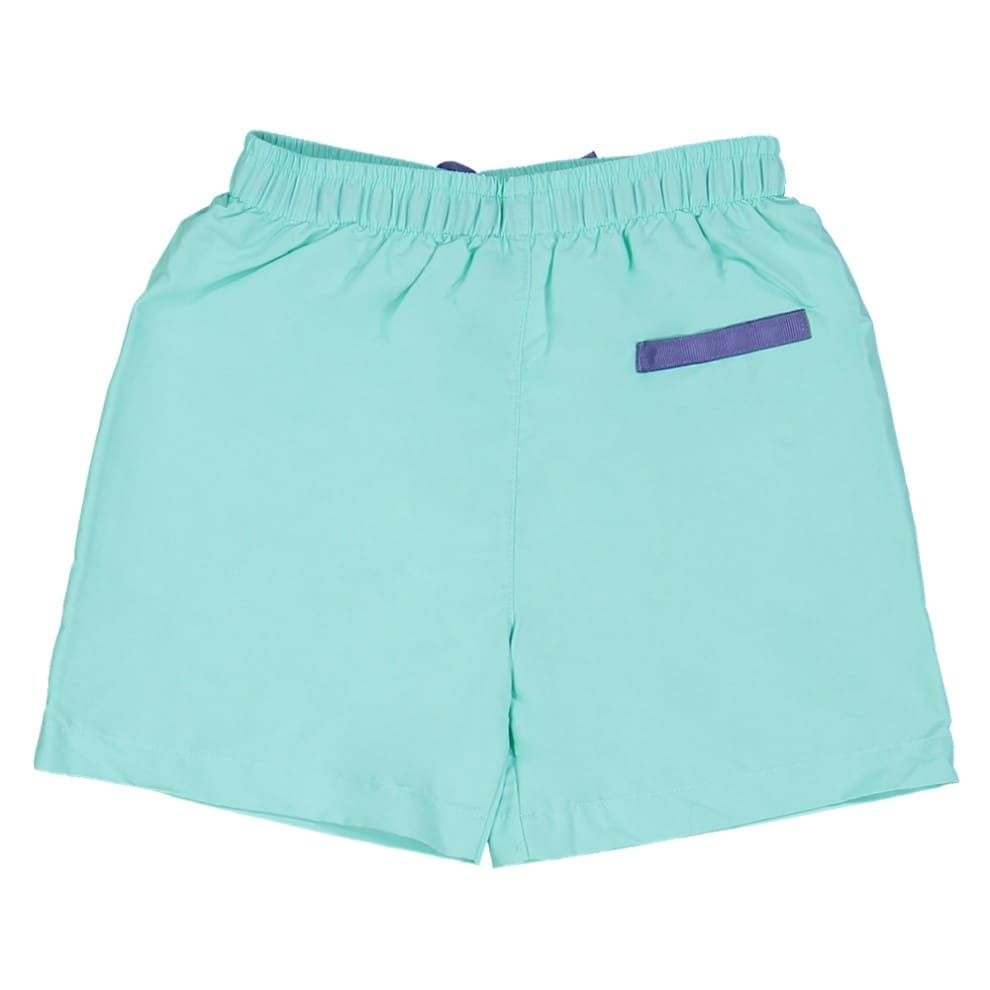 Diego Swim Shorts | Aqua