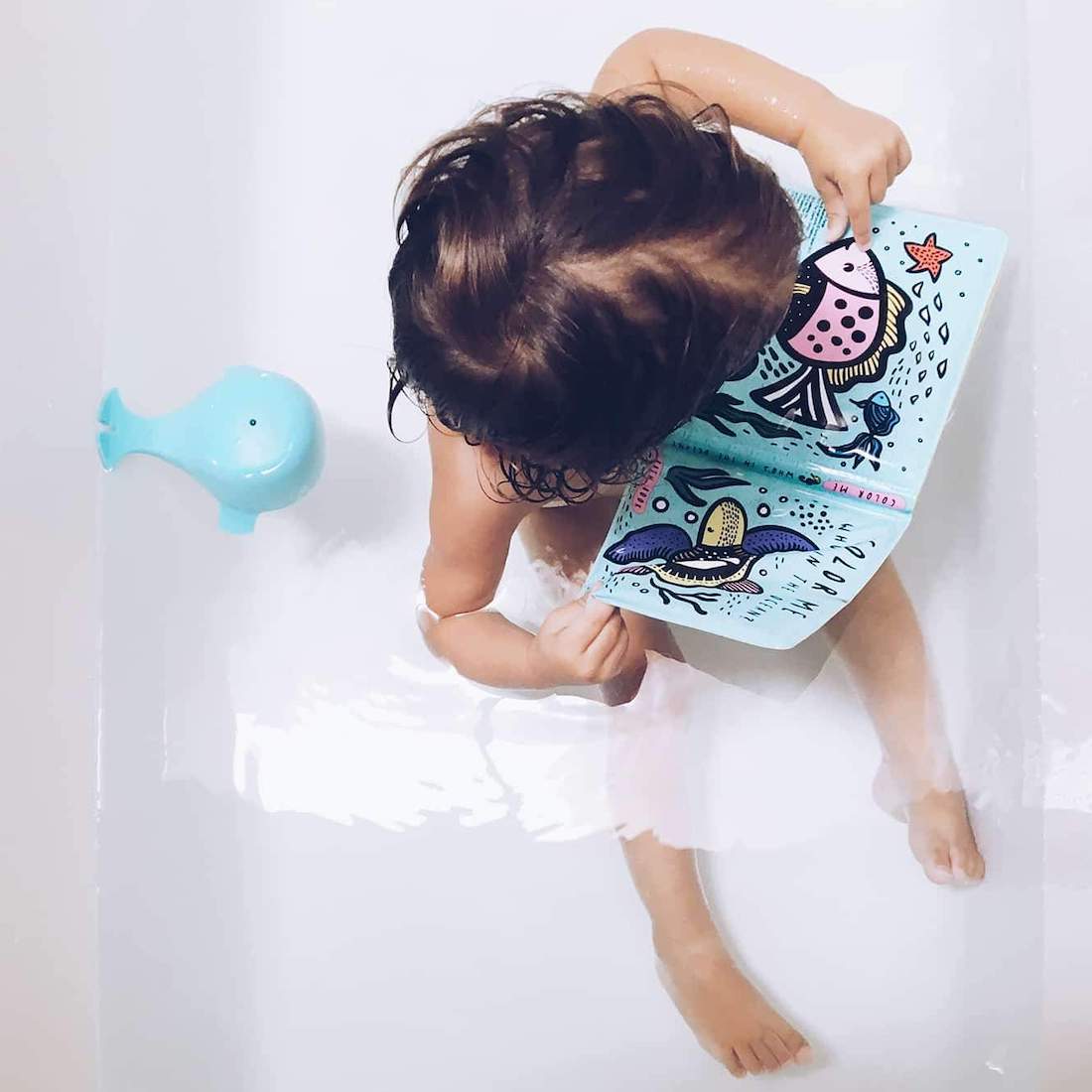 Color Me Bath Book | Who's In The Rainforest