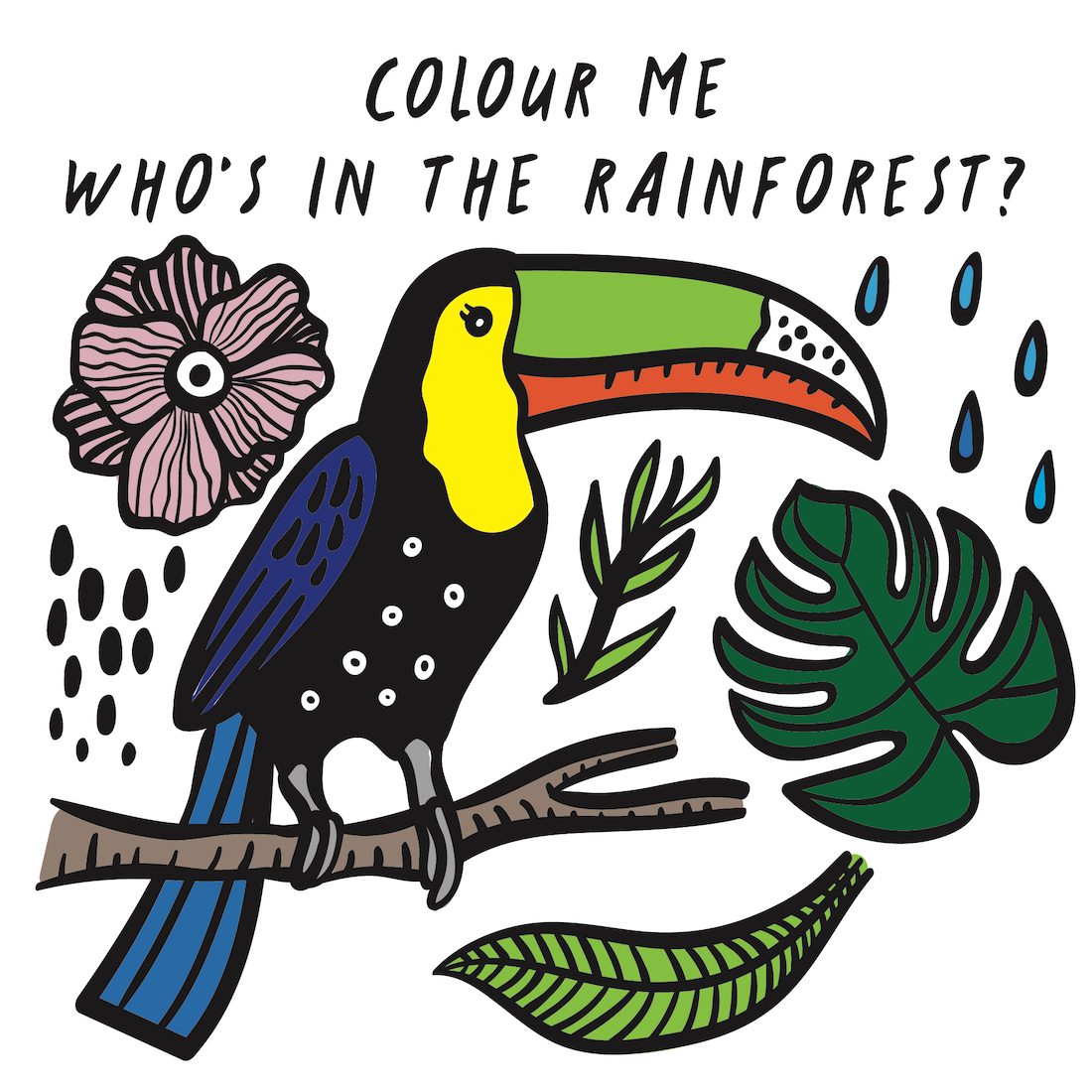 Color Me Bath Book | Who's In The Rainforest