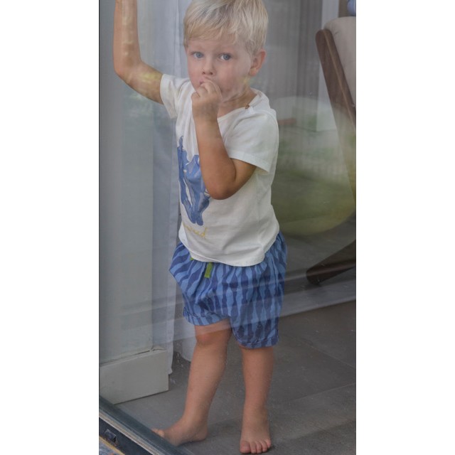 Canvas Shorts | Ultramarine & Azurine
