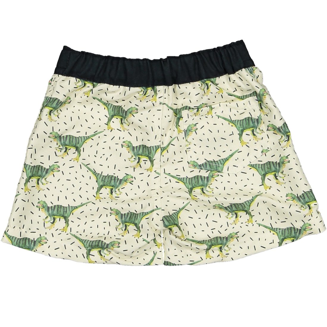 Dinosaur Swim Shorts