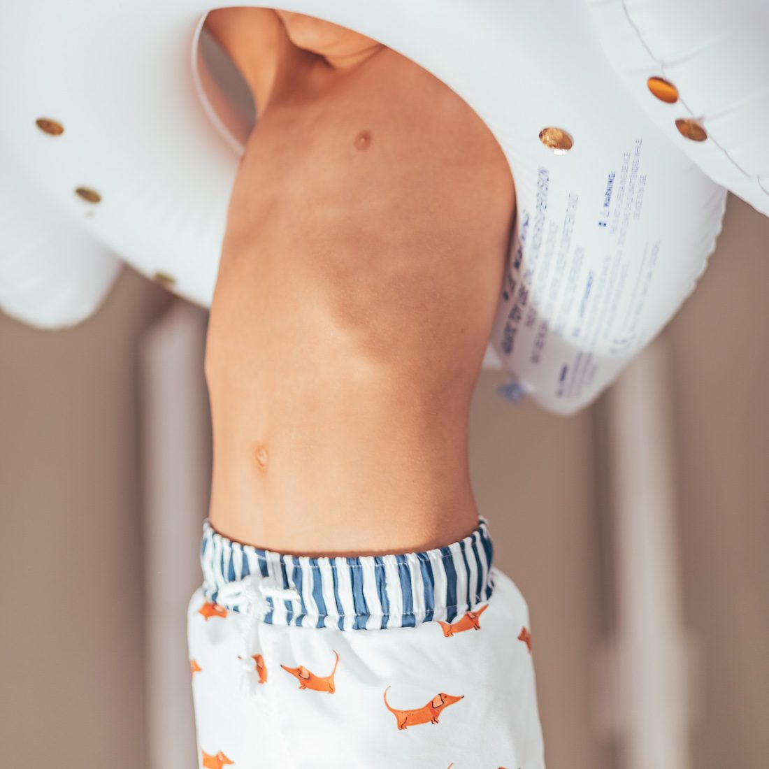 Dog Swim Shorts