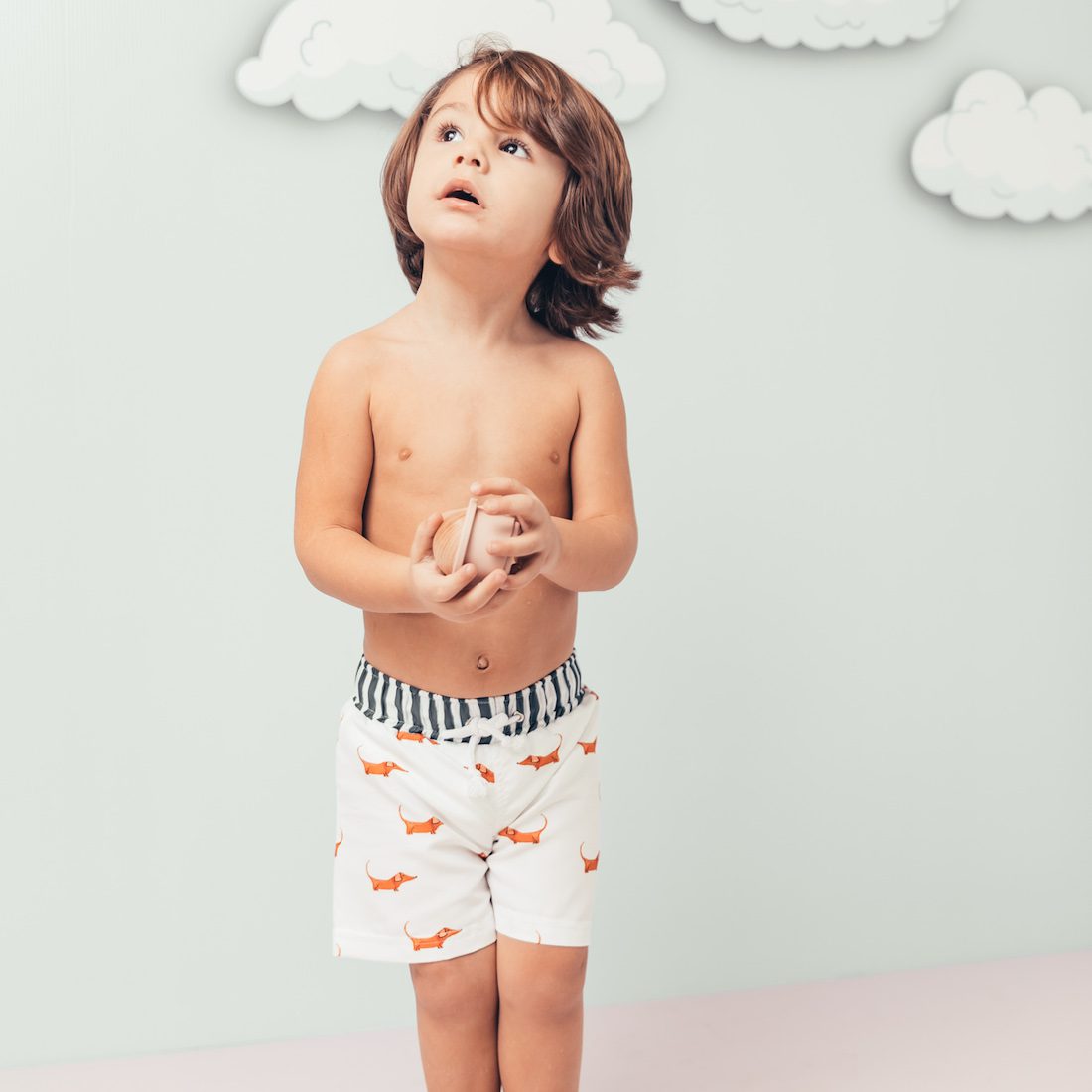 Dog Swim Shorts