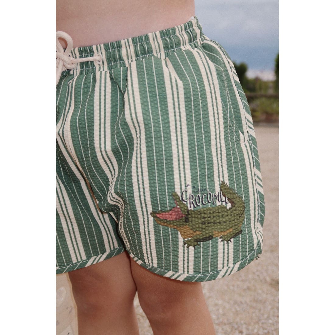 Seer Asnou Swim Shorts | Pasture Stripe