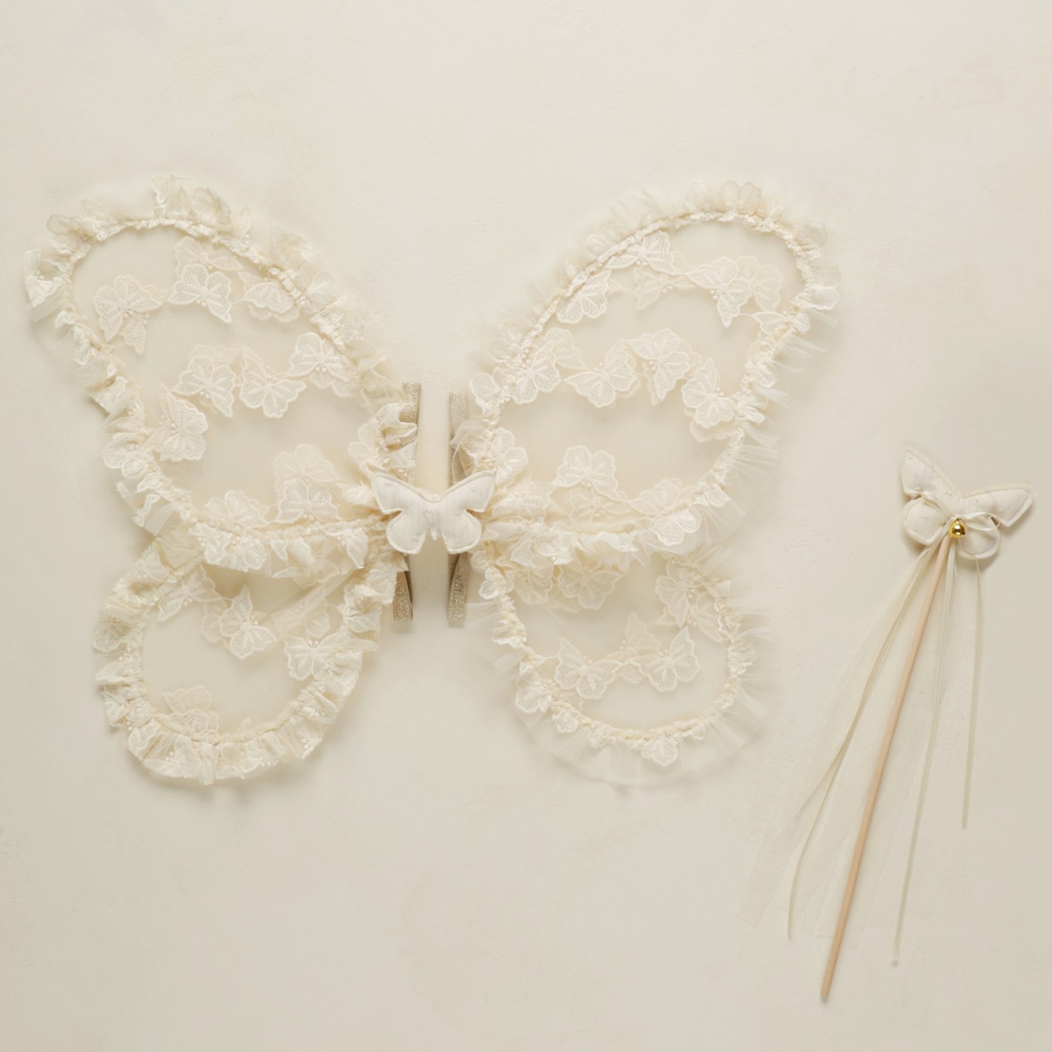 Fairy Set | Butterfly