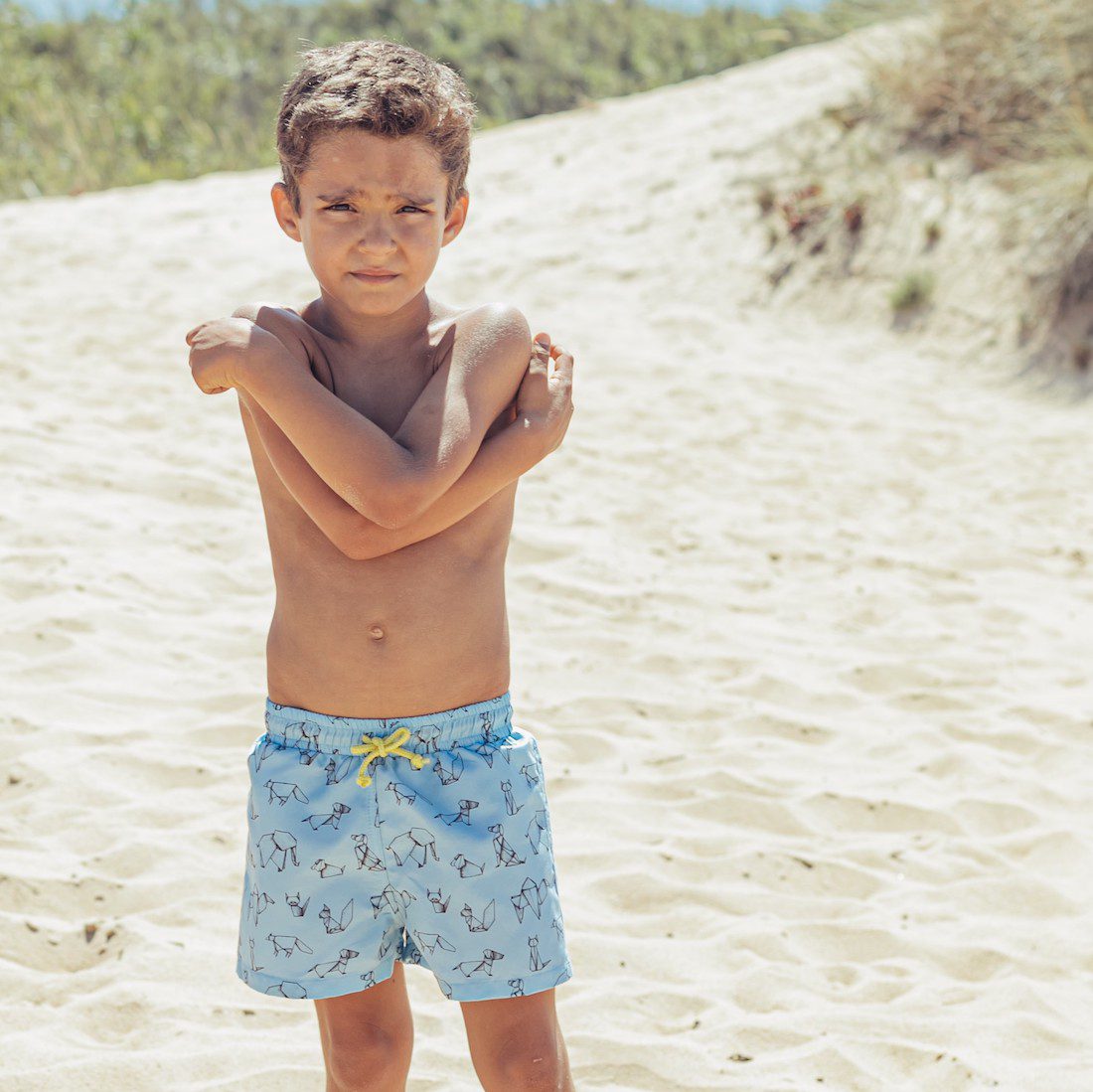 Origami Swim Shorts