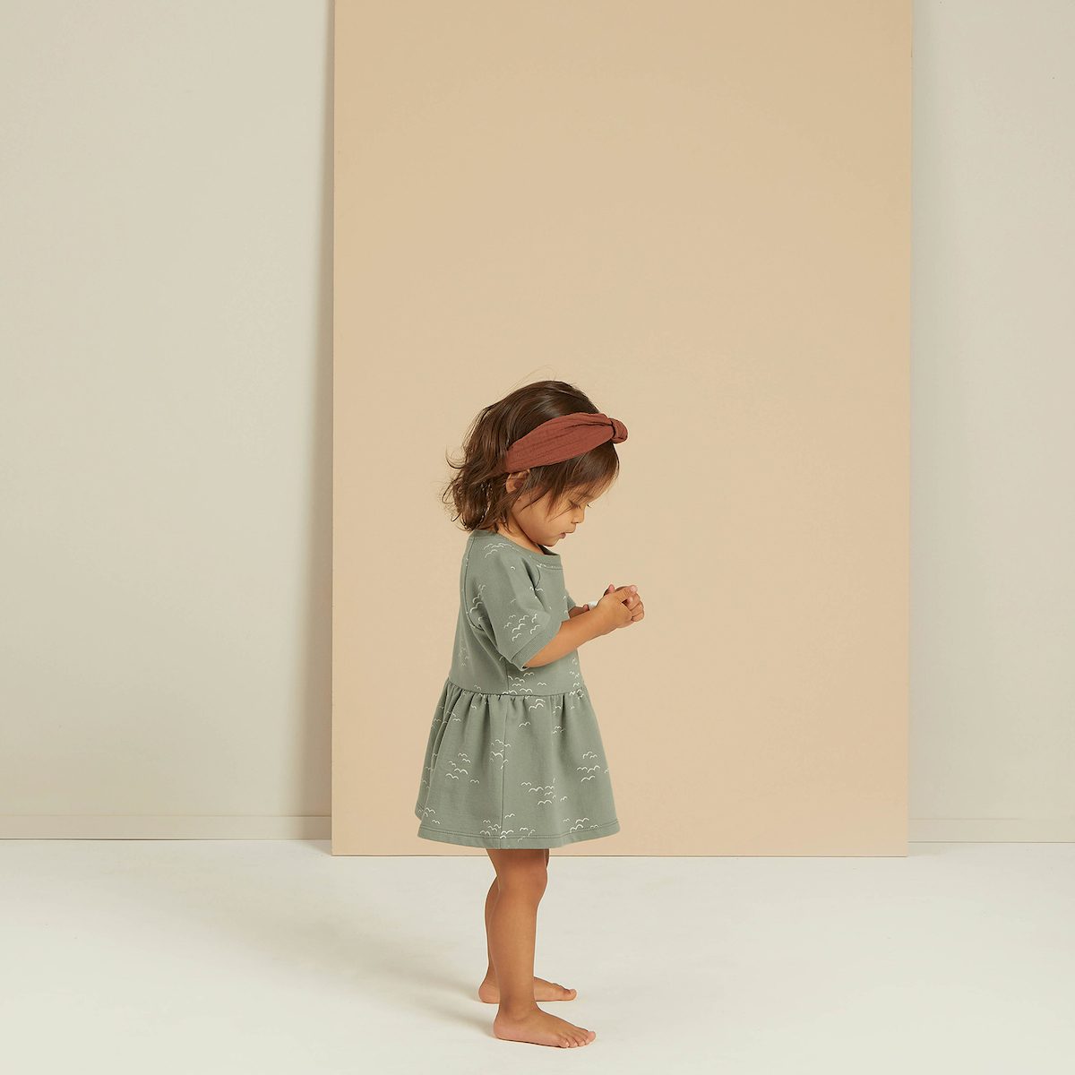 Raglan Dress Flock