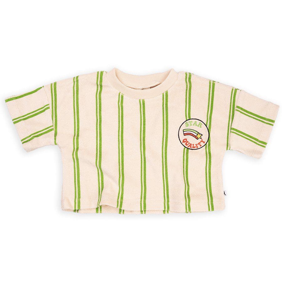 Cropped Crewneck T-Shirt W/ Embroidery | Stripes Green
