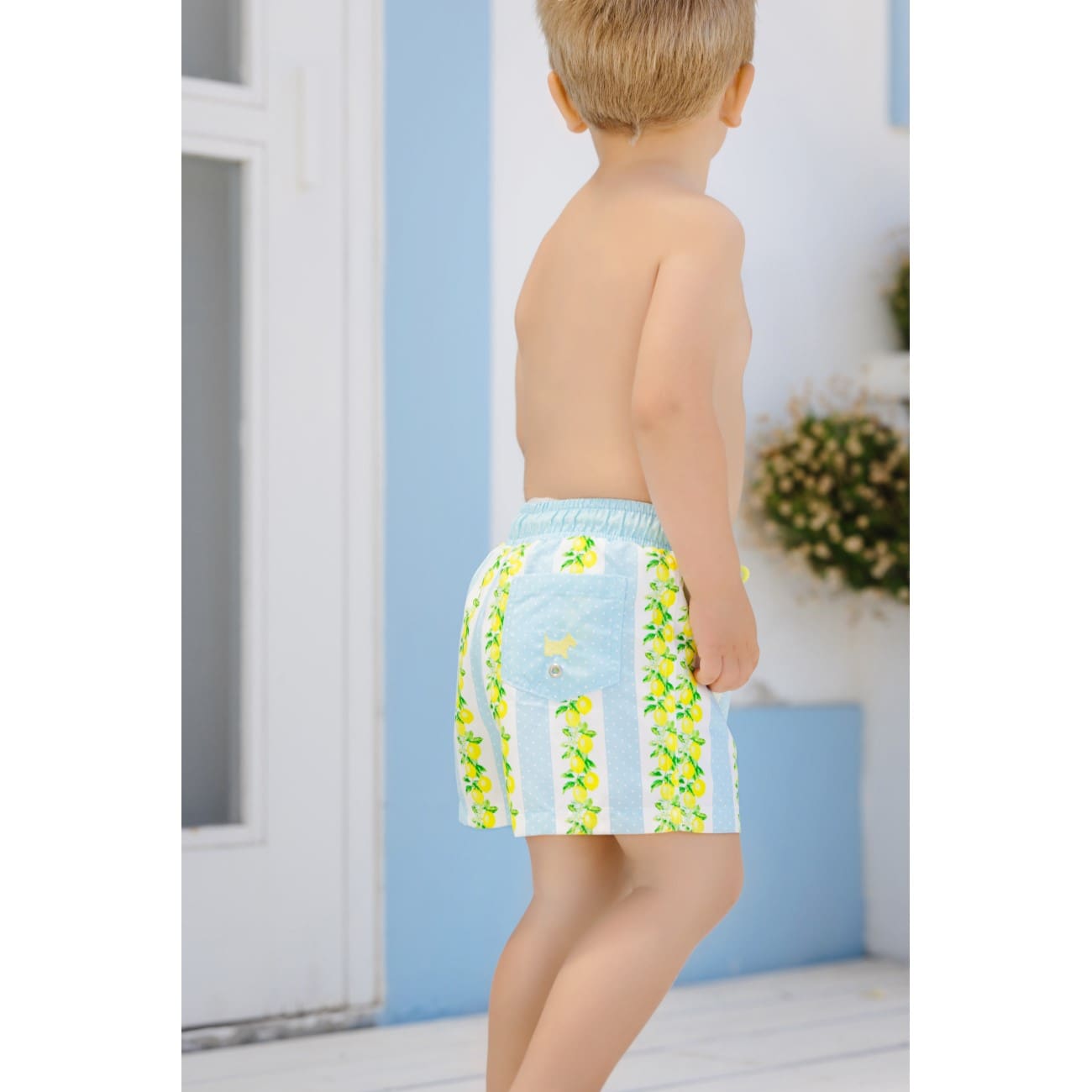 Lemon Tree Trunks