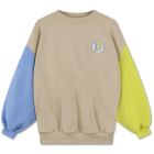 Crewneck Sweater | Color Block