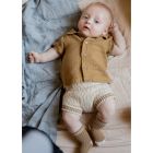 David Shirt & Linus Bloomer | Biscotto