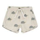 Swim Trunk | Sea Turtles